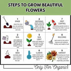 150 Variety Of Organic Flower Seeds And  Plant Growth Free Pack Of 1