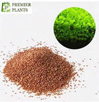 AI Aquarium Grass Seeds pack of 2