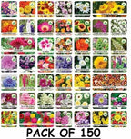 150 Variety Of Organic Flower Seeds And  Plant Growth Free Pack Of 1