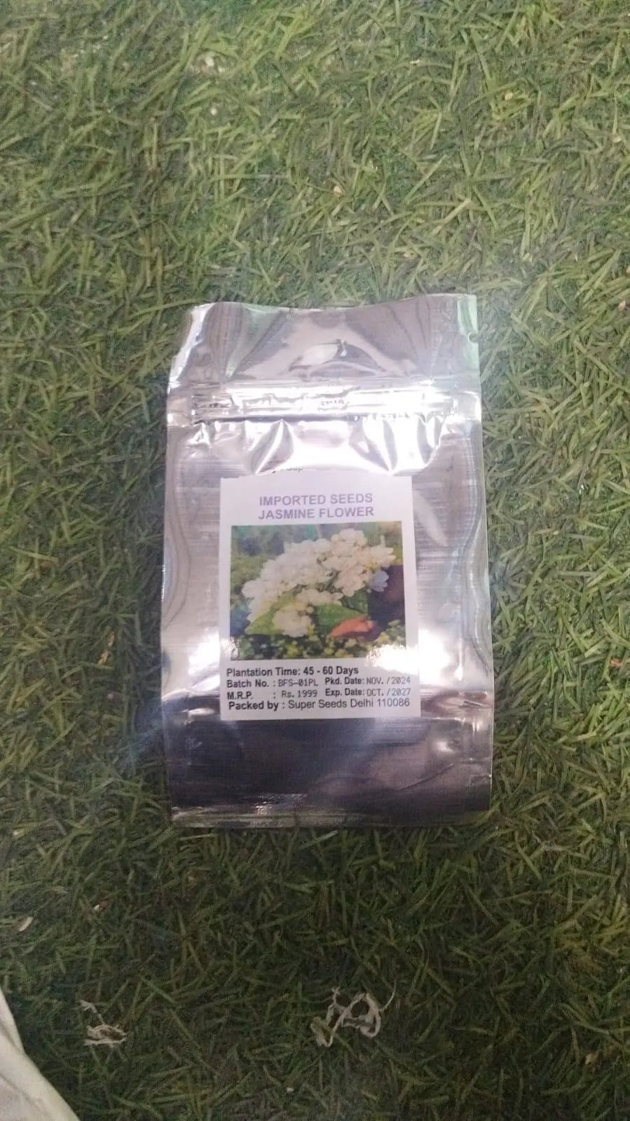 AI Double Jasmine Seeds PACK OF 2
