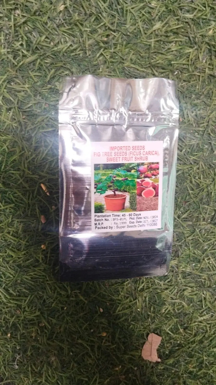 AI Fig Tree Seeds pack of 2