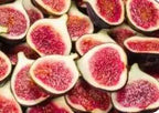 AI Fig Tree Seeds pack of 2
