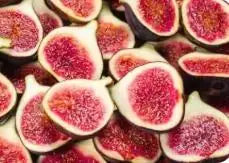 AI Fig Tree Seeds pack of 2