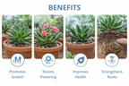 AI Plant growth supplement pack of 2