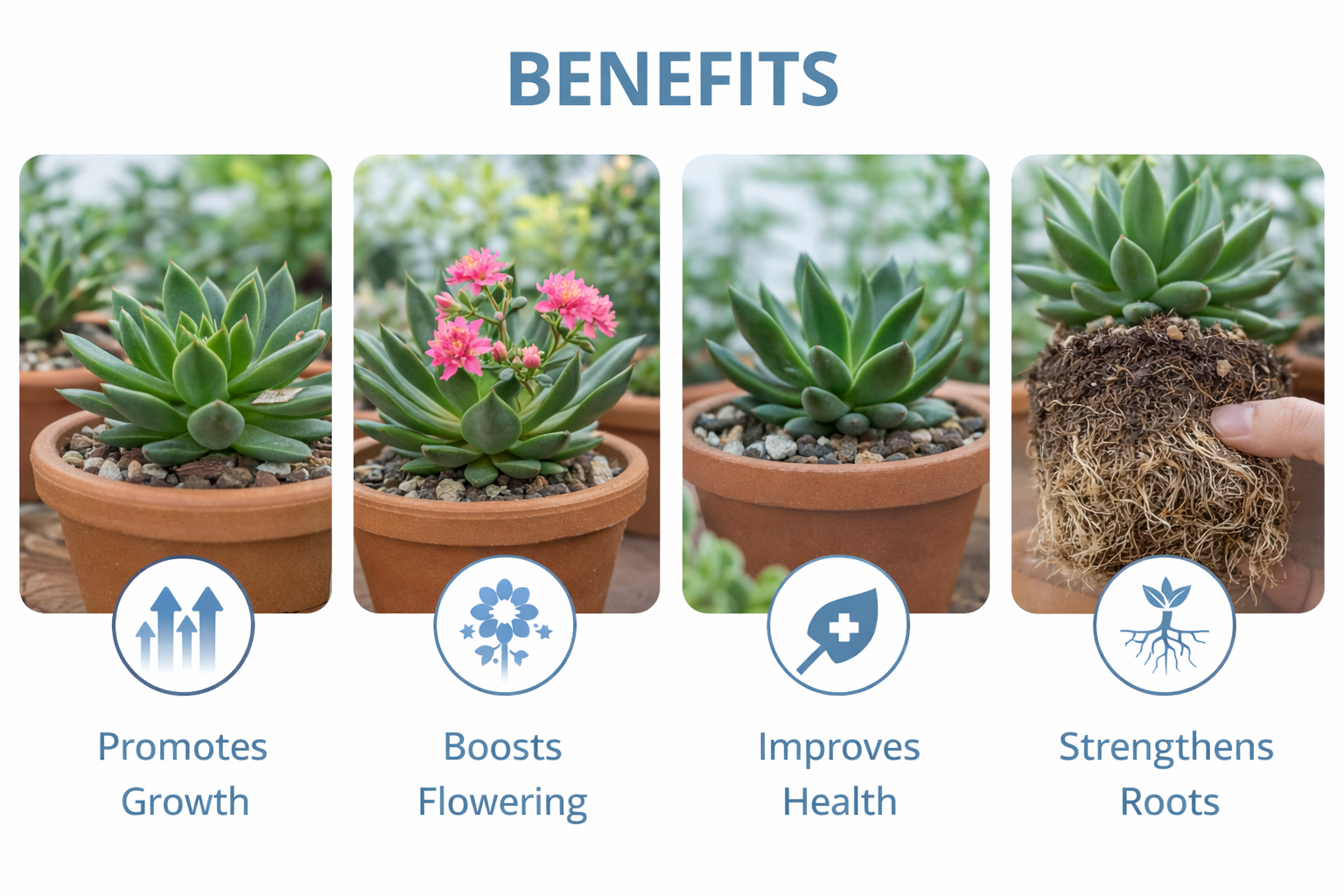 AI Plant growth supplement pack of 2