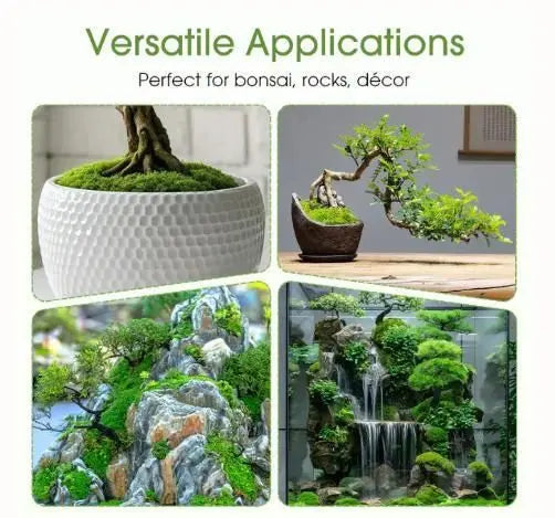 AI Premium Grade Moss Spore Powder pack of 2