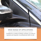 Auto Plastic Black Lotion 100 ml Pack of 2