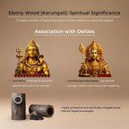 Bharatyug  Karungali Rudraksha Bracelet