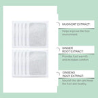 Herbal Ingredient Detox Foot Pads (PACK OF 2)