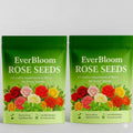 AI EVER BLOOM ROSE SEEDS( PACK OF 2) AND 1 PLANT GROWTH