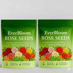 AI EVER BLOOM ROSE SEEDS( PACK OF 2) AND 1 PLANT GROWTH